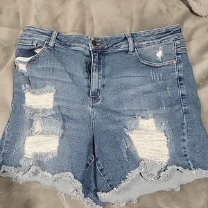 Judy Blue shorts